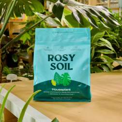 A turquoise bag of houseplant soil sits on a table among leafy plants.