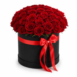 Midnight Romance Rose Box