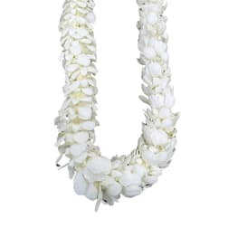 White flower lei made of clustered blossoms