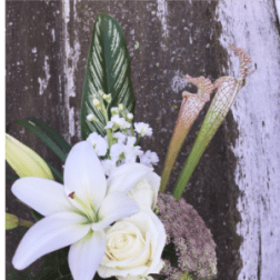 Soft and Subtle Mix