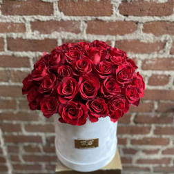 50 Red Roses Box - Sylmar Florist