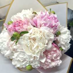10 Stem Pink Peony Special