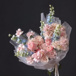 Blush Cloud Garden