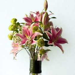 Oriental Lillies