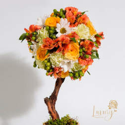 Topiary Stelle