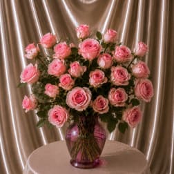 24 Baby Pink Roses in a Pink Vase