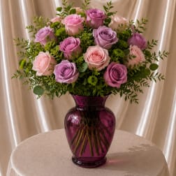 Blushing Lavender Garden Roses