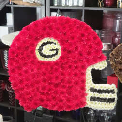Football Helmet