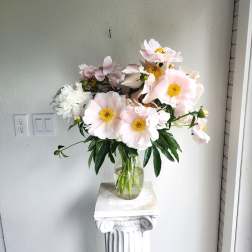 Peony Joy ( Designers Choice)