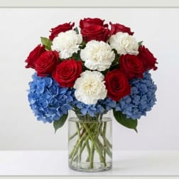 Les Bleus - France Soccer Team