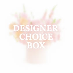 Designer Choice Box