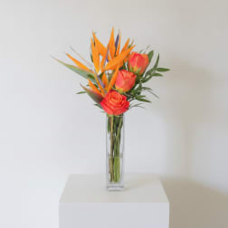 Kiss of Paradise ( birds of paradise flower and orange roses)