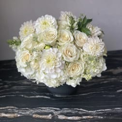 Classic White