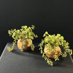 Small Faux Succulent Planter Duo