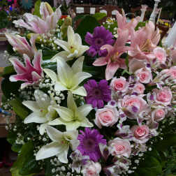 Heart shaped flowers