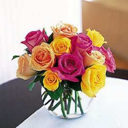 Springtime Roses