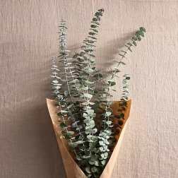 Eucalyptus Bouquet