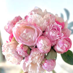 The Pink Peony!