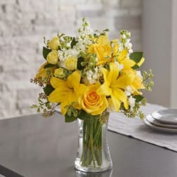Sunlit Blooms