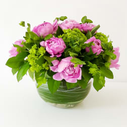 Peony Garden