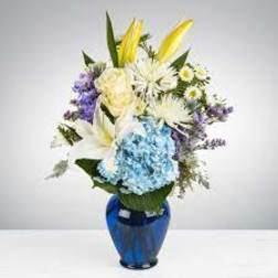 Sweet Serene by BloomNation™