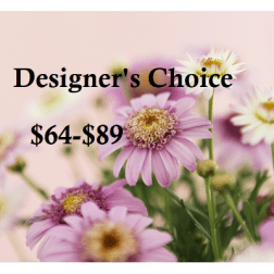 Designer's Choice $69- $89