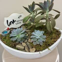 Love Grows Here Succulent Garden