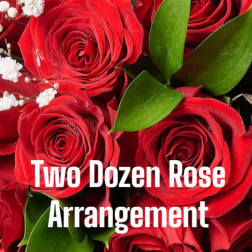 Close-up of red roses with white baby's breath and green leaves