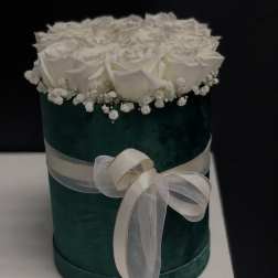 green elegant box