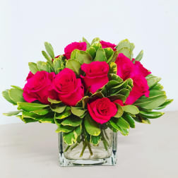 Aromatic rose of my dream flowers