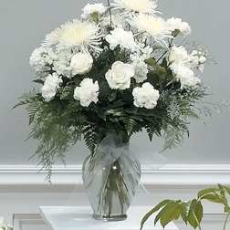 White Wonder