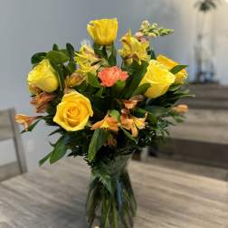 Amazing Surprise