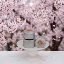 Artisan soy blend tin candle