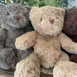Plush Bear