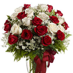 Love and Purity