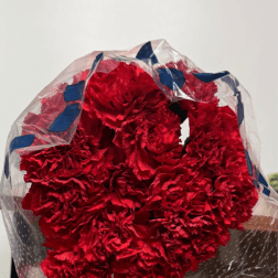 Bouquet of red carnations wrapped in clear plastic with blue ribbon