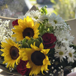 Sun Bouquet