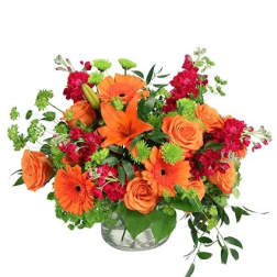 Orange Explosion