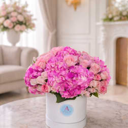 Blush Elegance - Edicion Deluxe