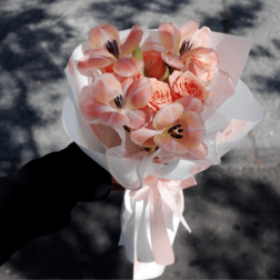 Peach Cloud Kiss