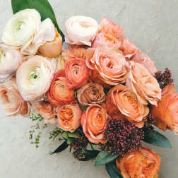Peach and white ranunculus bouquet with dark berries