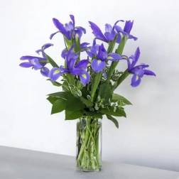 Blooming Iris Bouquet