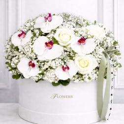 White roses and orchids arranged in a round white box with a ribbon