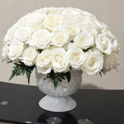 White Roses in cup