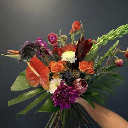 Tropic No. 1