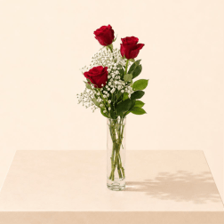 Three red roses in a clear glass vase with white baby's breath