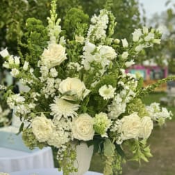 The Great White