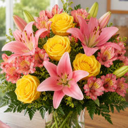 Summer Sun Blooms