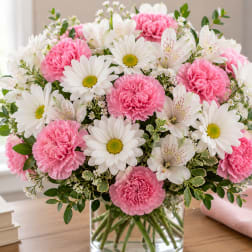Blushing Daisy Delight