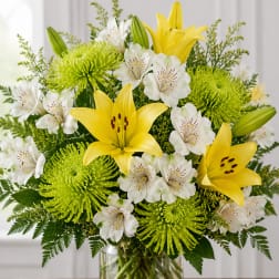 Green & Gold Harmony